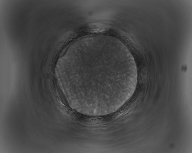 X0000100861441200807181125