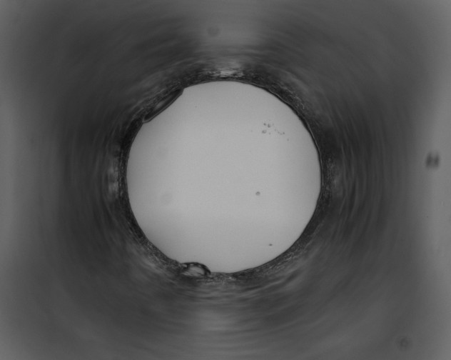 X0000100861442200807181125