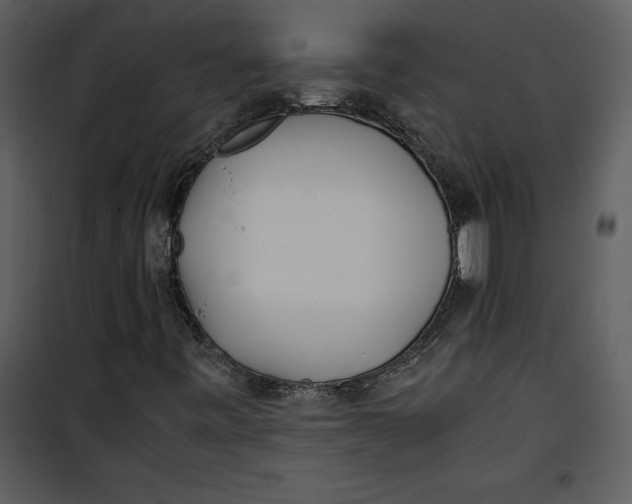 X0000100861443200807181125