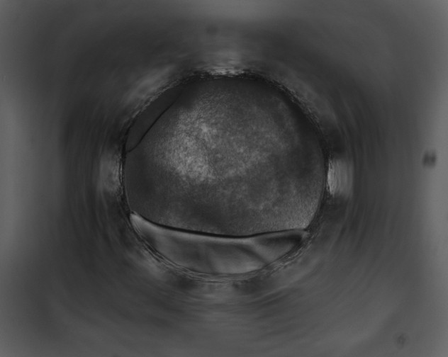 X0000100861444200807181125