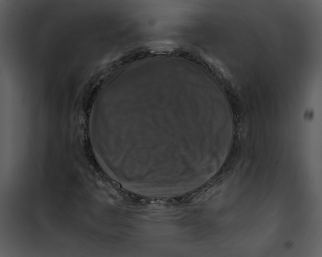 X0000100861445200807181125