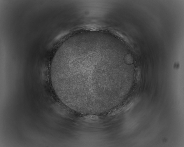 X0000100861446200807181125