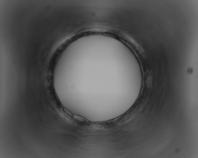 X0000100861448200807181125