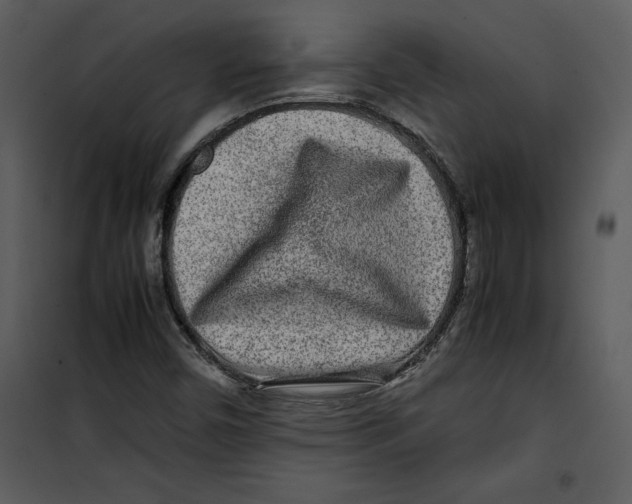 X0000100861450200807181125