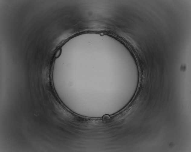 X0000100861451200807181125