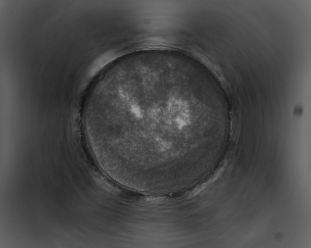 X0000100861453200807181125