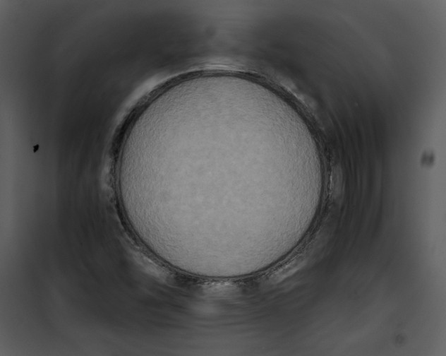 X0000100861454200807181125