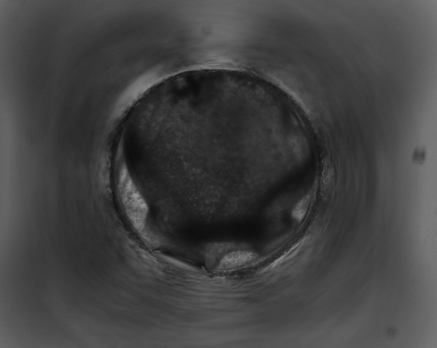 X0000100861455200807181125