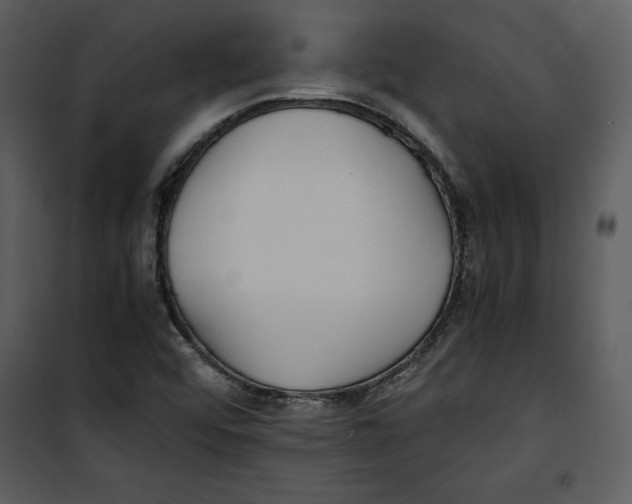 X0000100861456200807181125