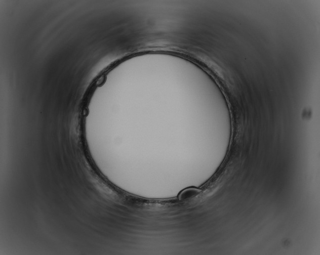 X0000100861458200807181124