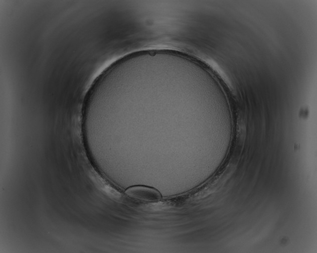 X0000100861460200807181124