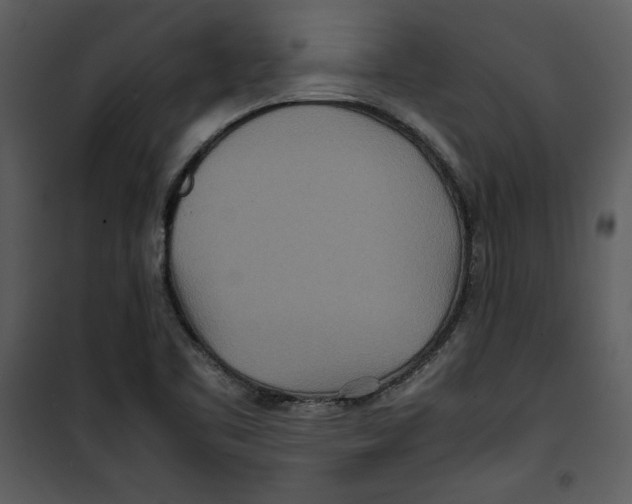 X0000100861461200807181124