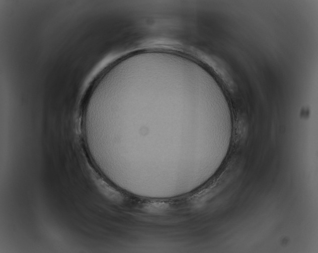 X0000100861462200807181124