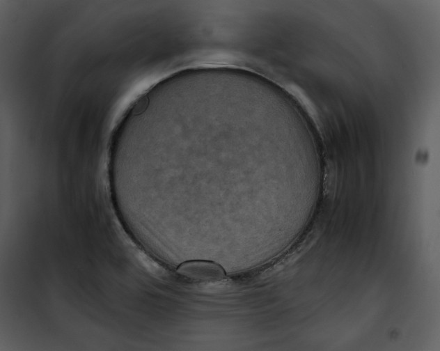 X0000100861464200807181124