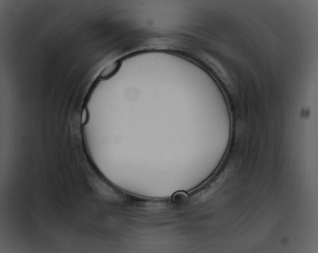 X0000100861465200807181124