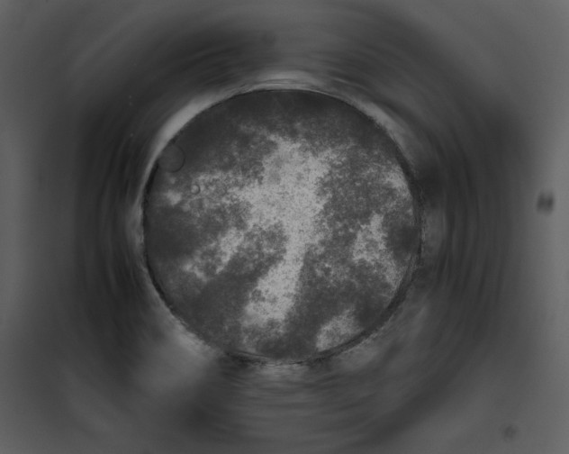 X0000100861466200807181124