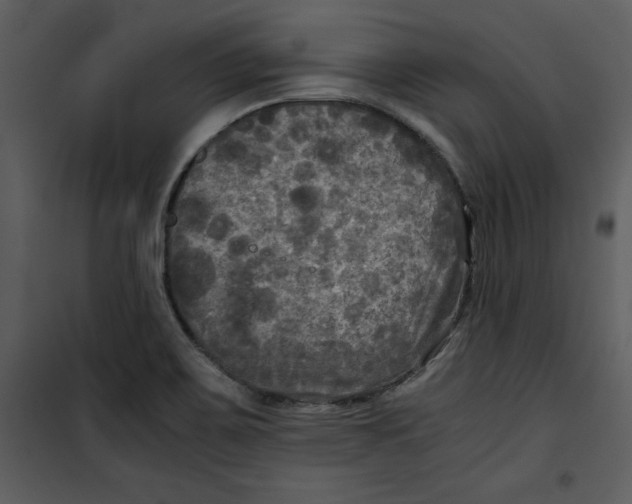 X0000100861467200807181124