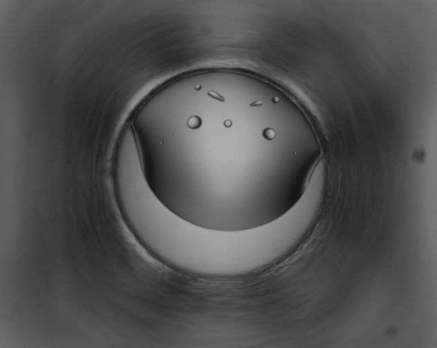 X0000100861468200807181124