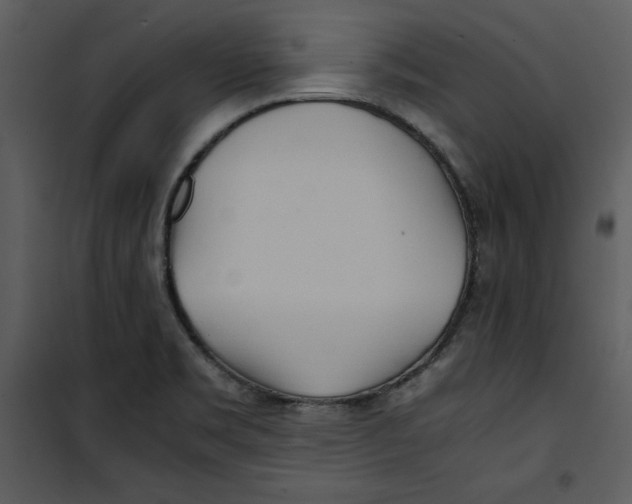 X0000100861469200807181124