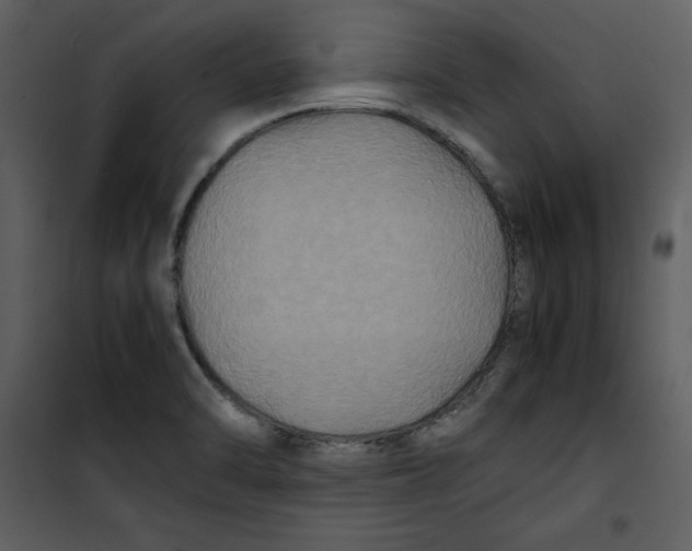 X0000100861470200807181124