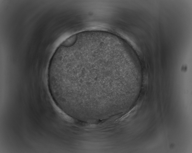 X0000100861471200807181124