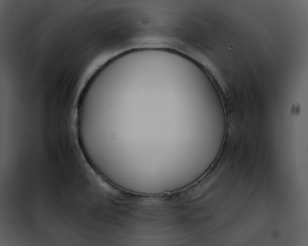 X0000100861472200807181124