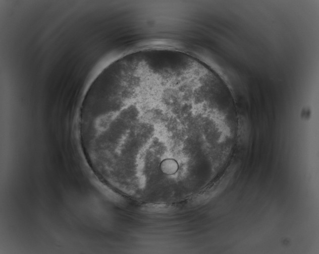 X0000100861474200807181124