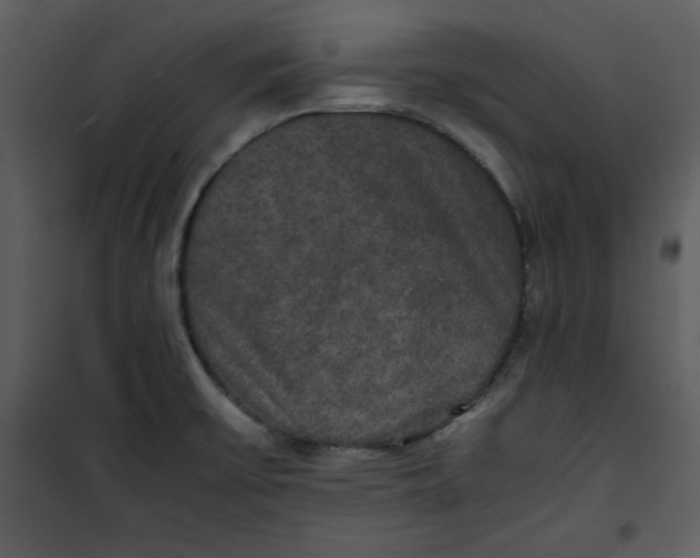 X0000100861475200807181124