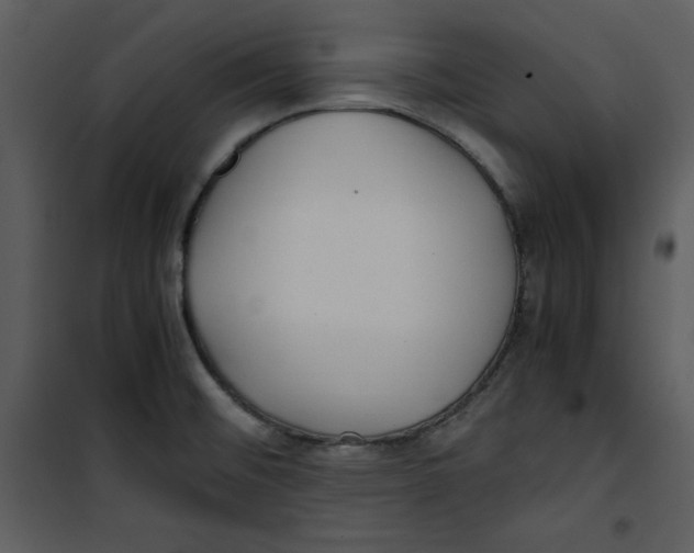 X0000100861476200807181124