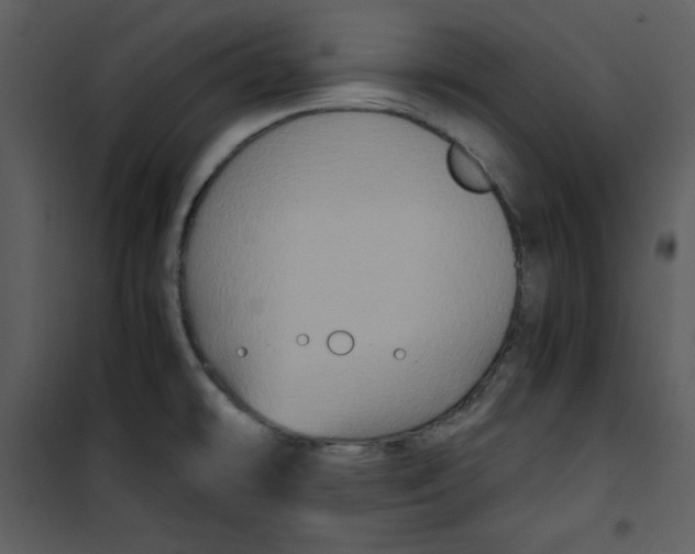 X0000100861478200807181124