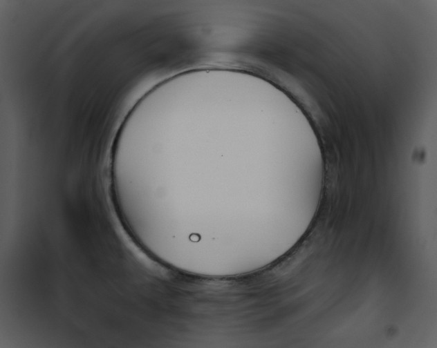 X0000100861479200807181124