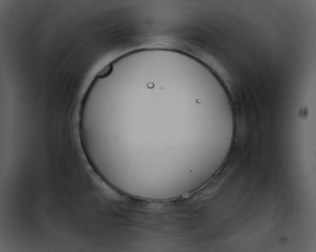 X0000100861480200807181124