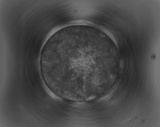 X0000100861482200807181124