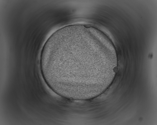 X0000100861483200807181124