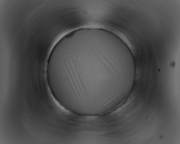 X0000100861484200807181124