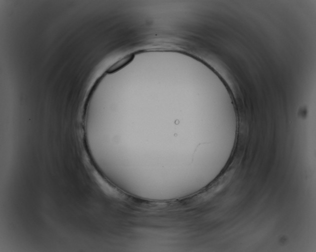 X0000100861485200807181124