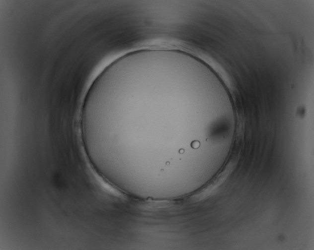 X0000100861486200807181124