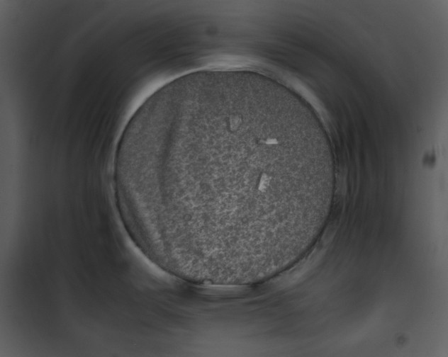 X0000100861487200807181124