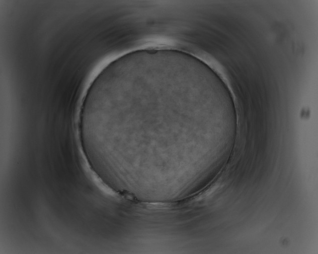 X0000100861488200807181124