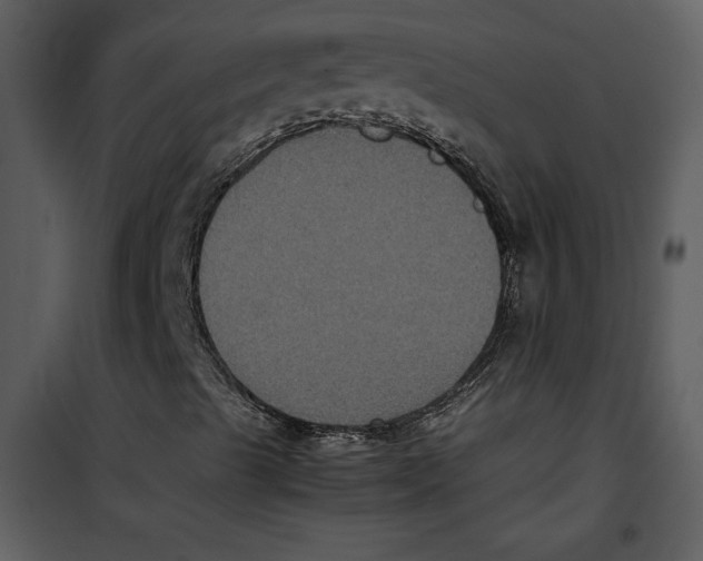 X0000100861489200807181123