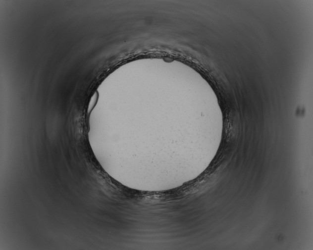 X0000100861490200807181123