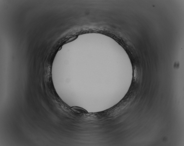 X0000100861492200807181123