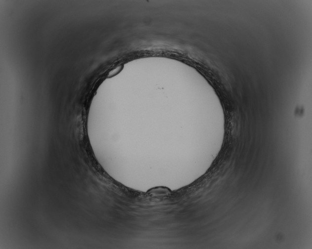 X0000100861493200807181123