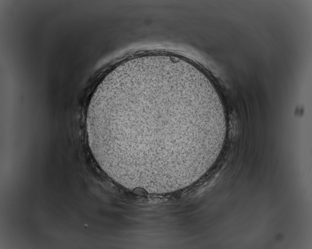 X0000100861494200807181123