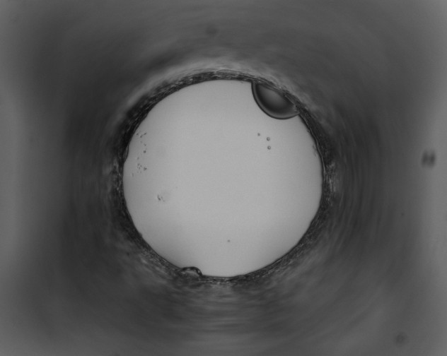 X0000100861495200807181123