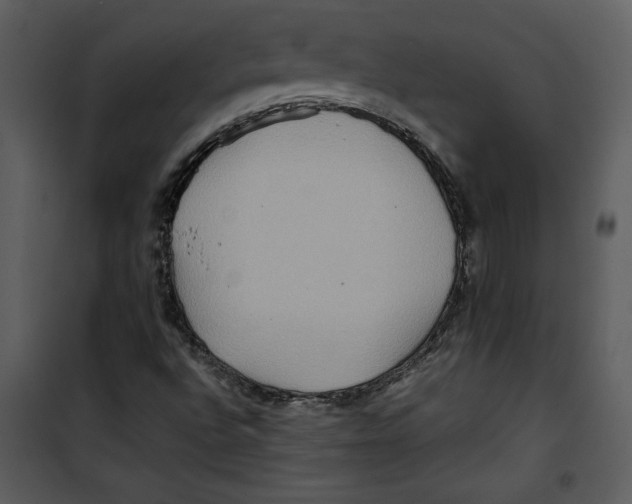 X0000100861496200807181123