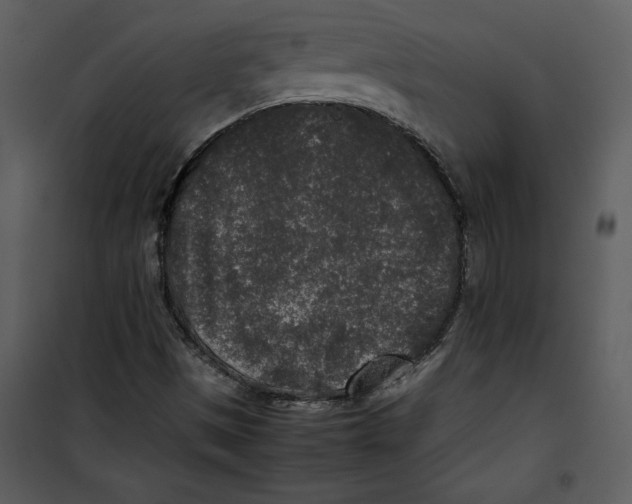 X0000100861497200807181123