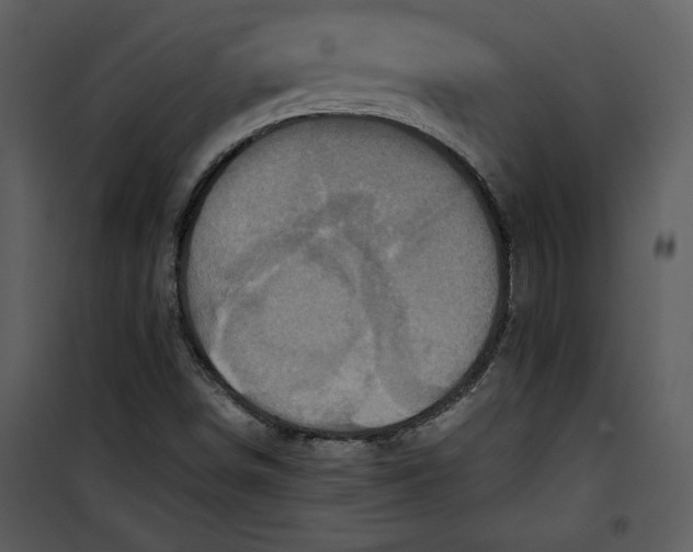 X0000100861498200807181123