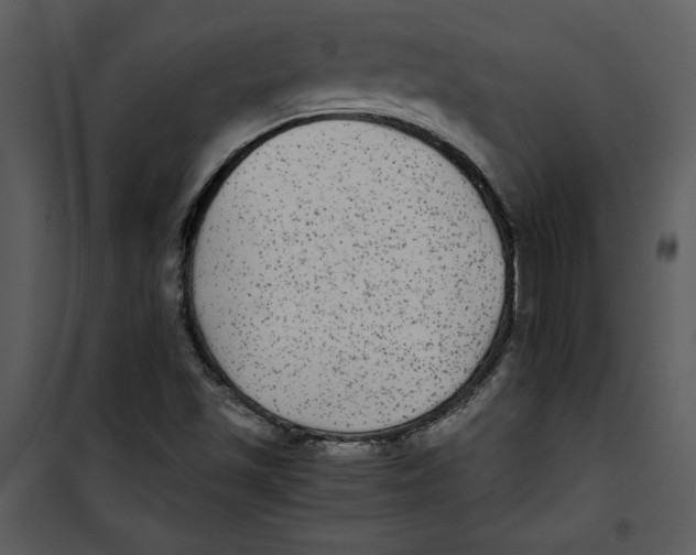 X0000100861501200807181124