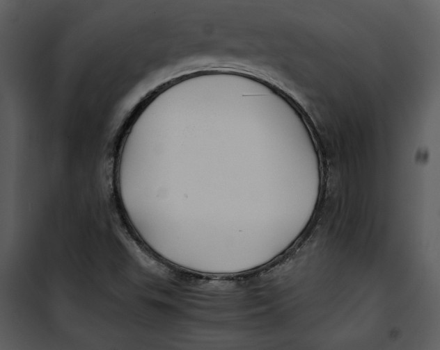 X0000100861503200807181124